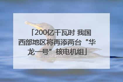 200亿千瓦时 我国西部地区将再添两台“华龙一号”核电机组