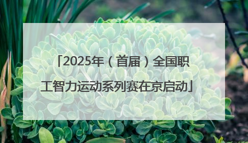2025年（首届）全国职工智力运动系列赛在京启动