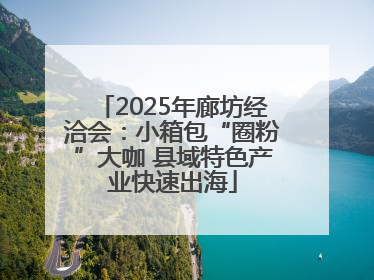 2025年廊坊经洽会：小箱包“圈粉”大咖 县域特色产业快速出海