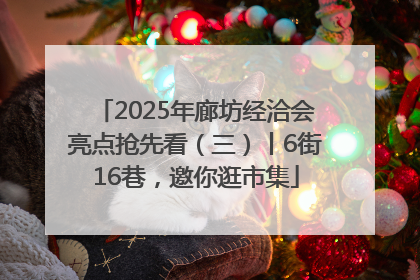 2025年廊坊经洽会亮点抢先看（三）丨6街16巷，邀你逛市集