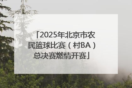 2025年北京市农民篮球比赛（村BA）总决赛燃情开赛