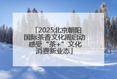 2025北京朝阳国际茶香文化周启动 感受“茶+”文化消费新业态