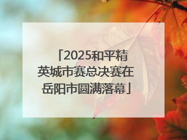2025和平精英城市赛总决赛在岳阳市圆满落幕