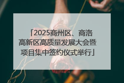 2025商州区、商洛高新区高质量发展大会暨项目集中签约仪式举行