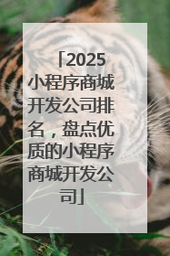 2025小程序商城开发公司排名，盘点优质的小程序商城开发公司
