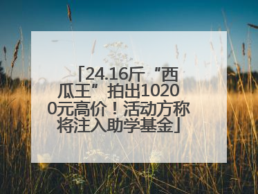 24.16斤“西瓜王”拍出10200元高价！活动方称将注入助学基金