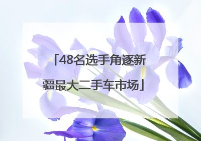 48名选手角逐新疆最大二手车市场