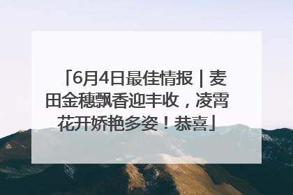 6月4日最佳情报｜麦田金穗飘香迎丰收，凌霄花开娇艳多姿！恭喜