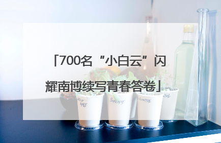 700名“小白云”闪耀南博续写青春答卷