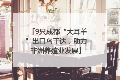 9只成都“大耳羊”出口乌干达，助力非洲养殖业发展