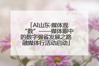 AI山东·媒体观“数”——媒体眼中的数字强省发展之路融媒体行活动启动