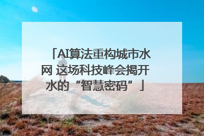 AI算法重构城市水网 这场科技峰会揭开水的“智慧密码”