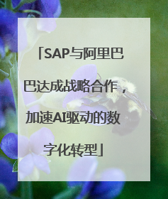 SAP与阿里巴巴达成战略合作，加速AI驱动的数字化转型