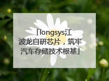 longsys江波龙自研芯片，筑牢汽车存储技术根基